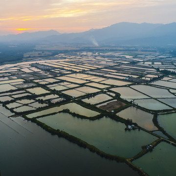 養(yǎng)殖場