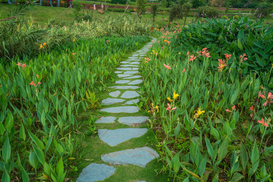 花園小區(qū)環(huán)境田園風(fēng)光石板小路