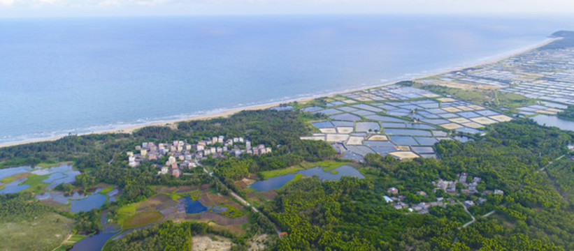 白沙灣