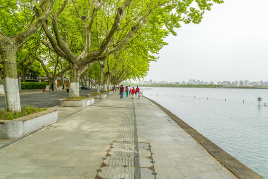 西湖風(fēng)光