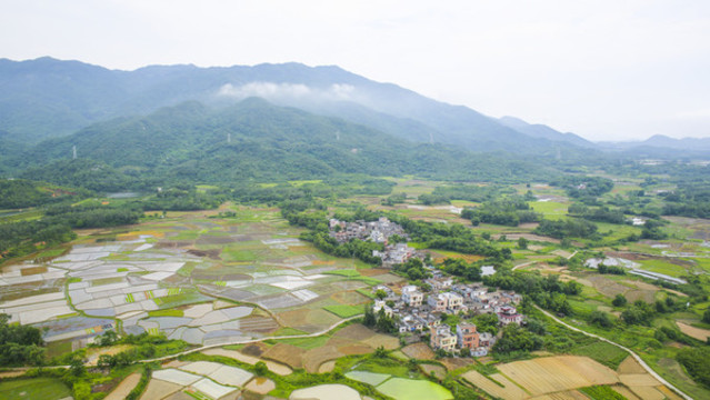 田園風(fēng)光