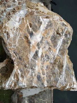 紋理