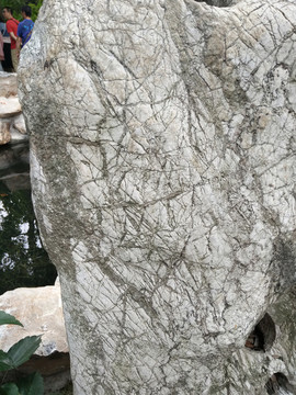 紋理