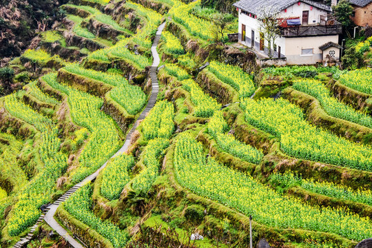 臺(tái)回山風(fēng)光
