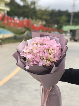 繡球花