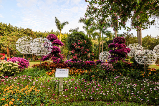 廣州雕塑公園簕杜鵑展