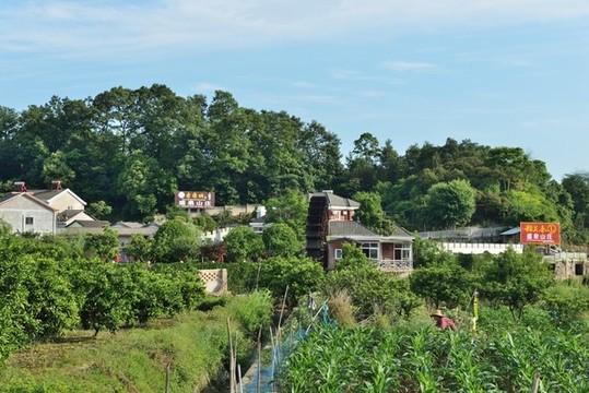 美麗鄉(xiāng)村