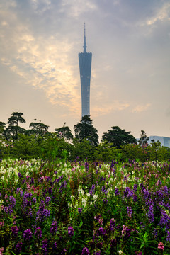 廣州二沙島宏城公園