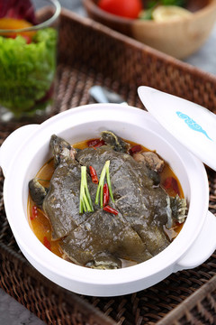固始旱甲魚