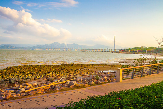 深圳灣大橋