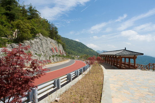 美麗的巫山機場路