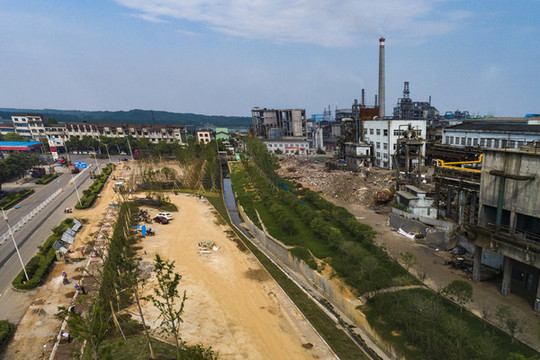 城市綠化建設