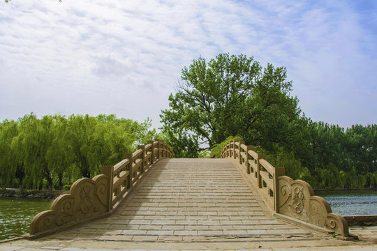 鞍山二一九公園湖上石橋與樹林