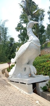 云南大銀塔風(fēng)光