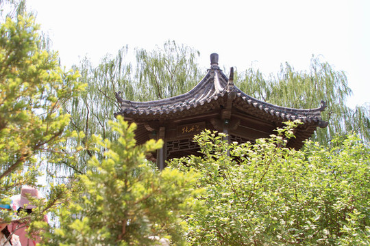 長春牡丹園