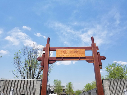 世園會隆慶街
