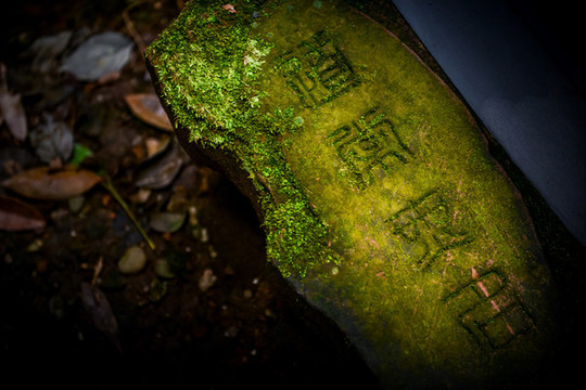 道常無(wú)名