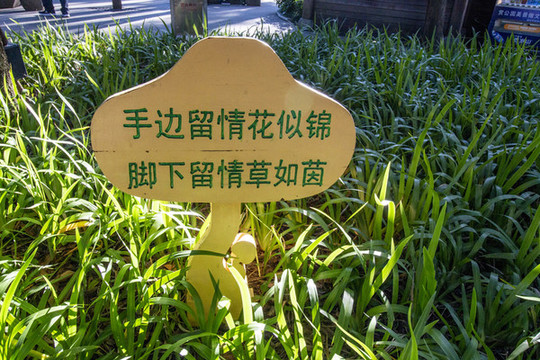 花草提示牌