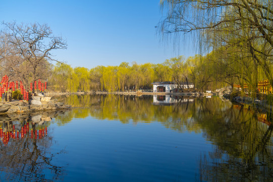 北京頤和園圓明園春季迷人風(fēng)光