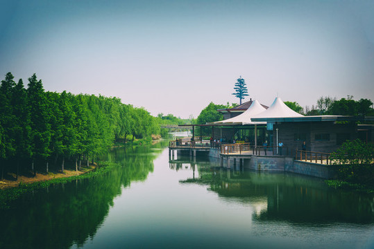 瀏河江灘濕地公園