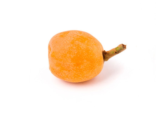 枇杷