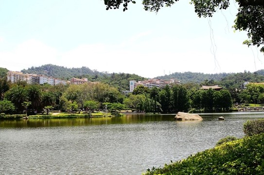 廈門大學(xué)