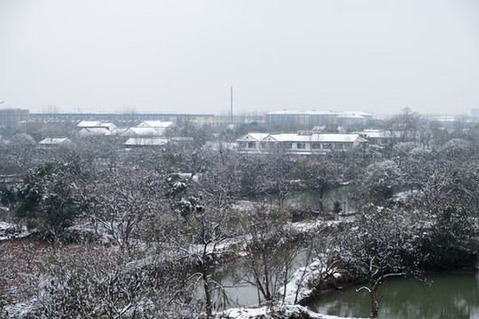 俯瞰西溪濕地
