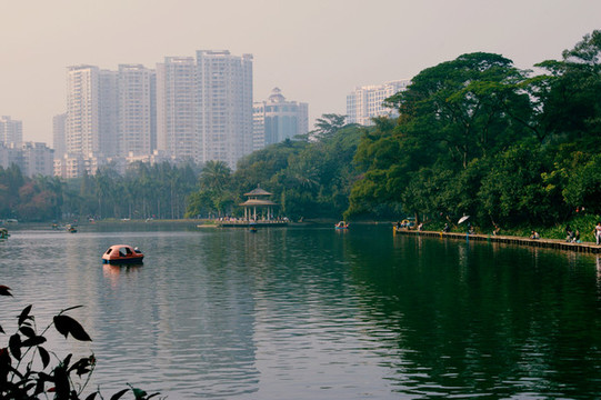 公園