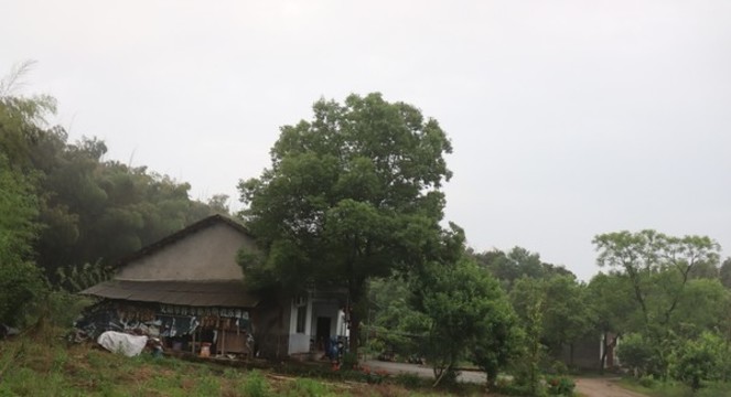 農村農家