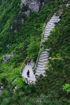 大別山風(fēng)光