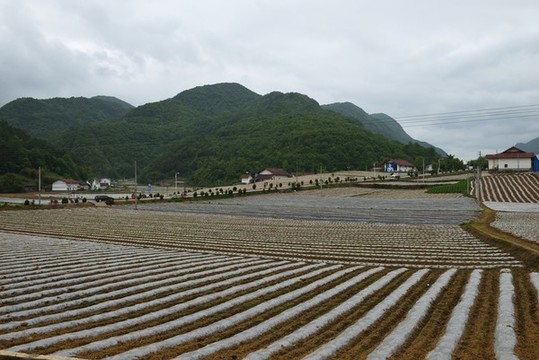 美麗田園