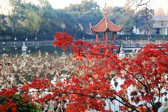 杭州療養(yǎng)院風(fēng)景