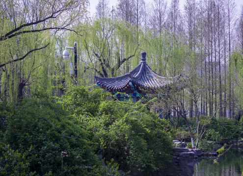 園林景觀涼亭