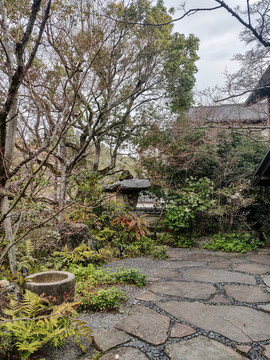 庭院