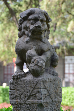 太原文廟里的石獅子