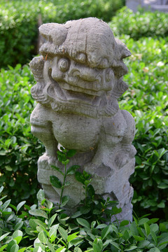 太原文廟里的石獅子