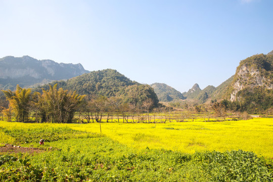 田園風(fēng)光