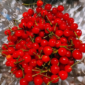 小櫻桃