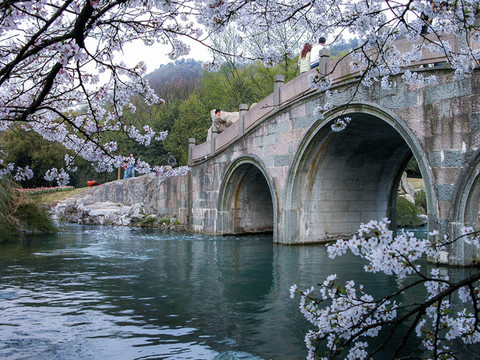 櫻花石拱橋