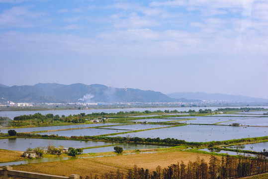 魚塘