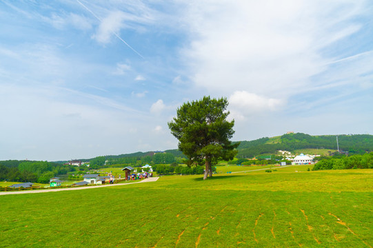 湖北武漢木蘭草原風(fēng)景區(qū)初夏風(fēng)光