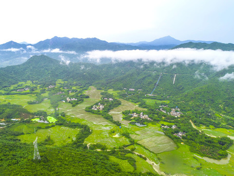 田心村