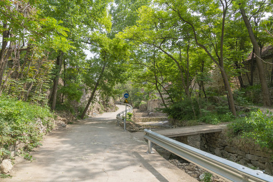 山村