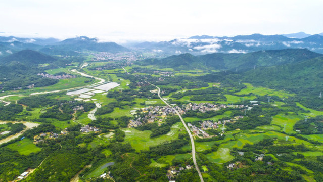 綠色鄉(xiāng)村