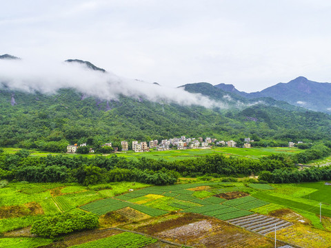陽西旅游
