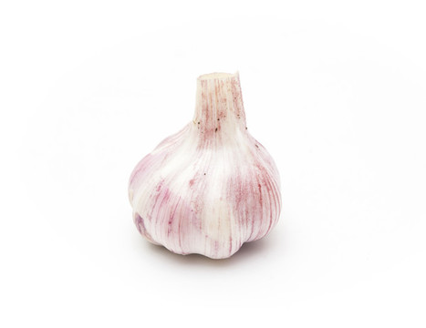 蒜頭