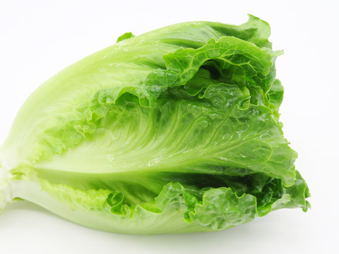 生菜
