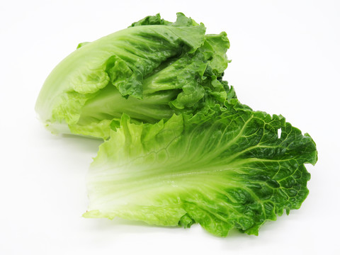 生菜