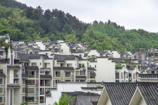 社會(huì)主義新農(nóng)村