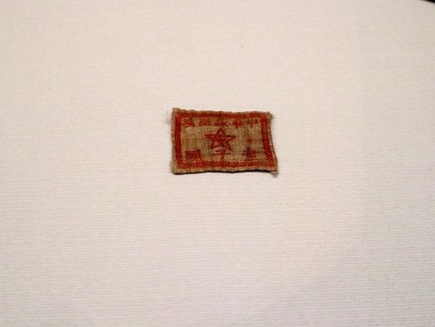 童子軍臂章